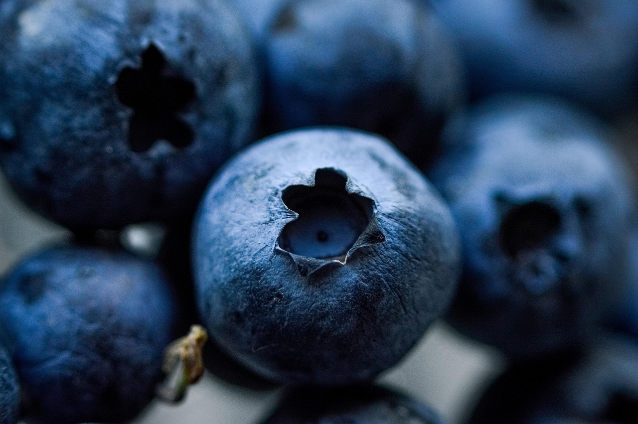 entdecken sie die welt der superfoods! erfahren sie, wie nährstoffreiche lebensmittel ihre gesundheit fördern, ihr immunsystem stärken und ihnen mehr energie für den alltag geben können.